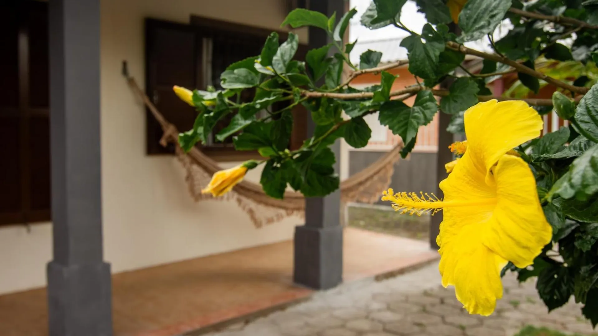 Casa Pe Na Areia, 50M Do Mar Em Canasvieiras Vp4107 Villa Florianopolis Holiday home